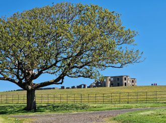 Audrey Nesbitt Downhill Demesne