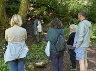 Foraging 1