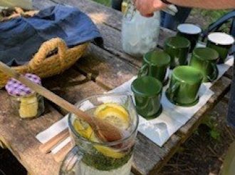 Foraging 2