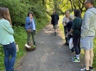 Foraging 5