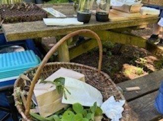 Foraging 6