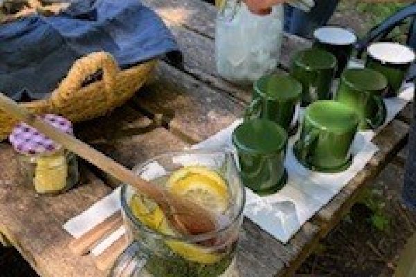 NATURE LOVERS GATHER FOR OUR DOWNHILL FOREST FORAGING WORKSHOP