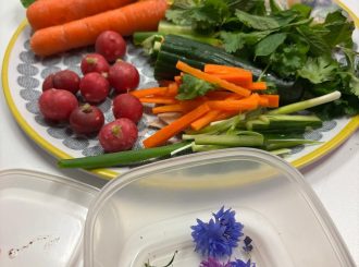 5C4F6B06 799C 4C5A 870B Db040Ae1702D