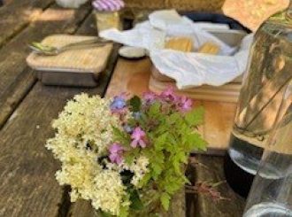 Foraging 7
