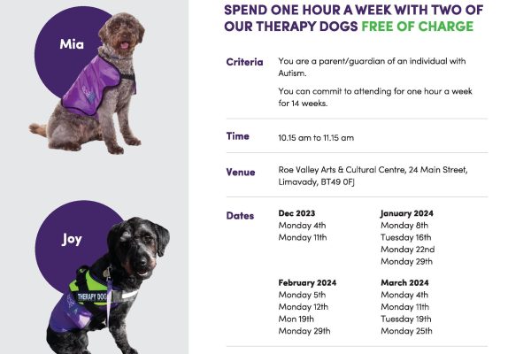 Assistance Dogs NI in partnership with Gibson's Chemist are Offering Free Therapy Dog Sessions