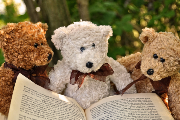 ​Teddy Bears Picnic Storytelling