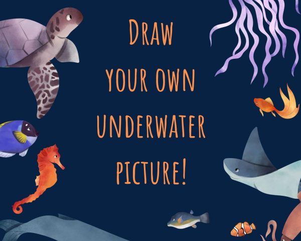 Day 3 - Draw your Own Underwater Picture