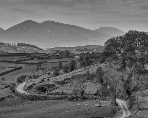 ​STEINBECK DUSTBOWL PHOTOGRAPHY | LEAVING | 3 FEBRUARY – 22 MARCH